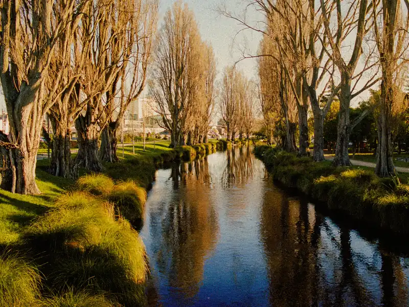 The Avon River (Ōtākaro) in central Christchurch, lined with poplars in golden winter light.