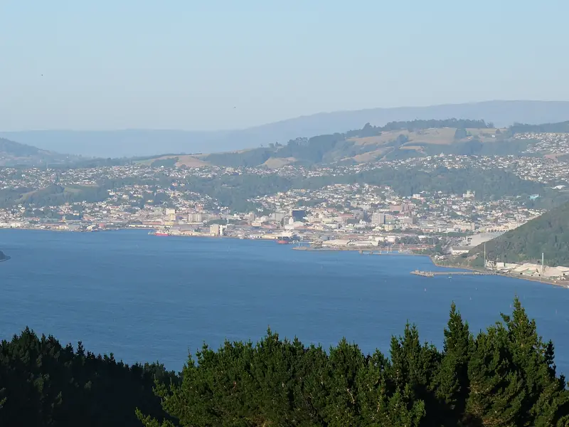 Dunedin’s city centre and hillside suburbs across the inner Otago Harbour in morning light.