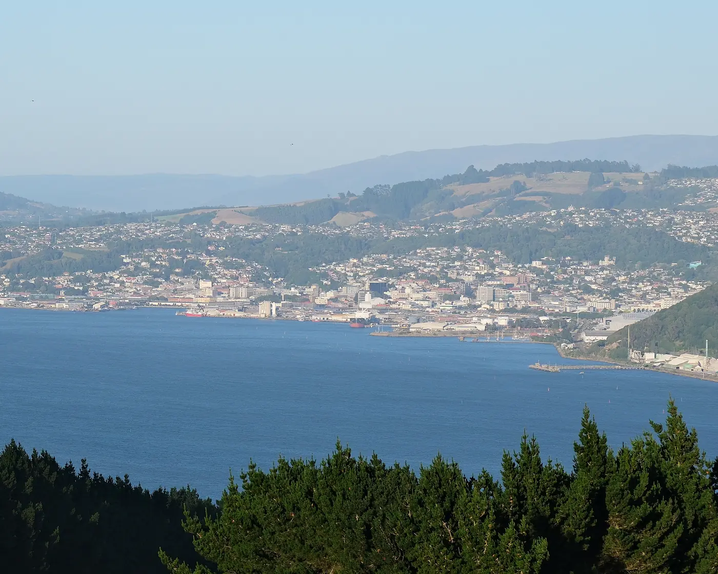 Dunedin’s city centre and hillside suburbs across the inner Otago Harbour in morning light.