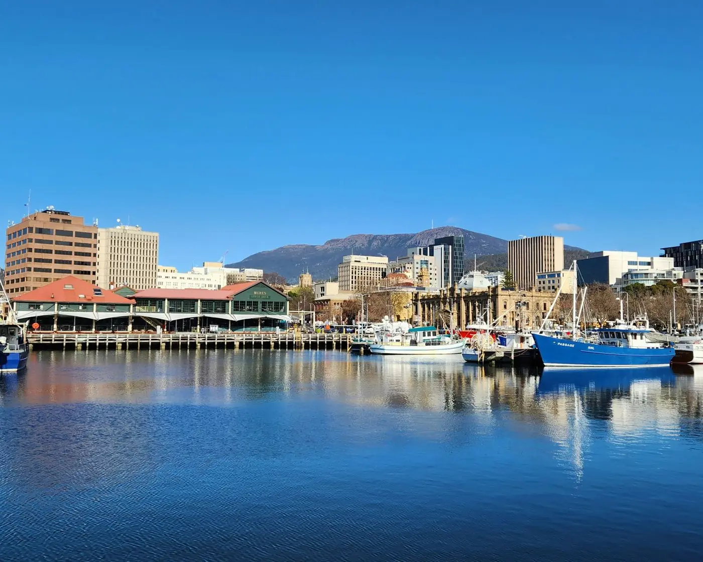 Fishing boats at Constitution Dock in Hobart, with kunanyi / Mount Wellington behind.