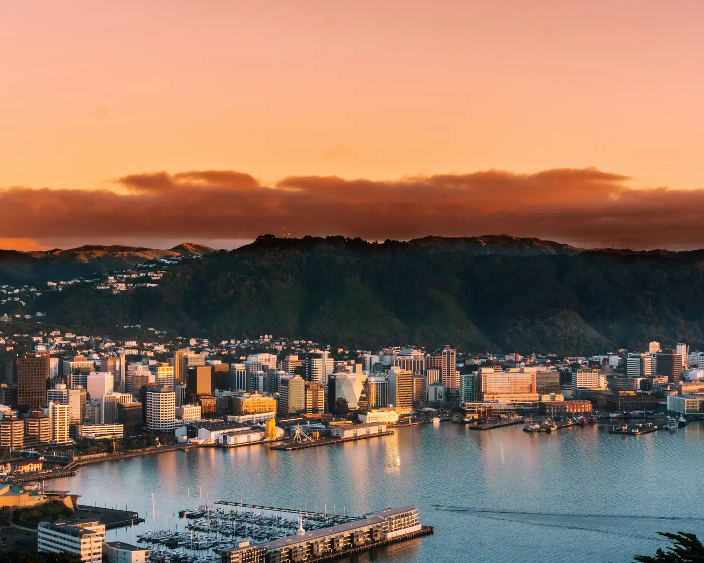 Wellington’s city centre and waterfront on Lambton Harbour at sunrise, from Mount Victoria.